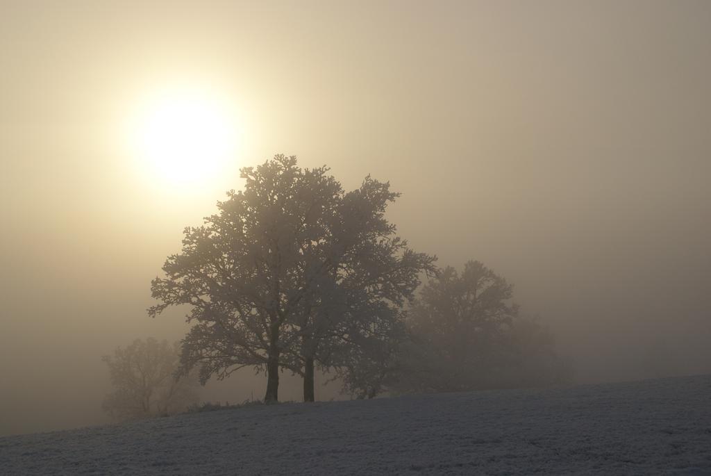 Penzion U Cerneho Potoka Nová Lhota Exteriör bild
