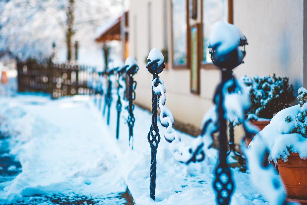 Penzion U Cerneho Potoka Nová Lhota Exteriör bild